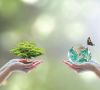 Zwei Hände halten jeweils eine Pflanze und eine Weltkugel mit Schmetterling
