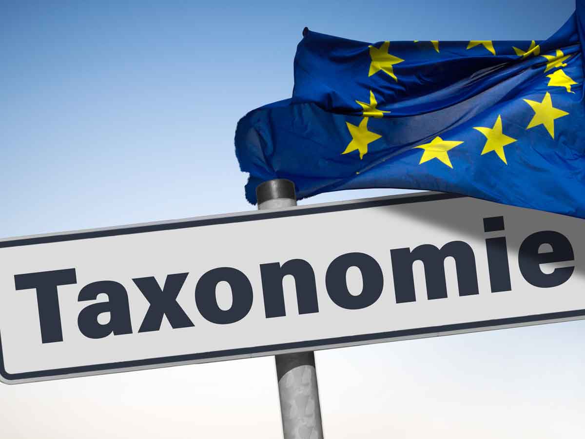 EU-Taxonomie-Verordnung – das müssen Sie wissen